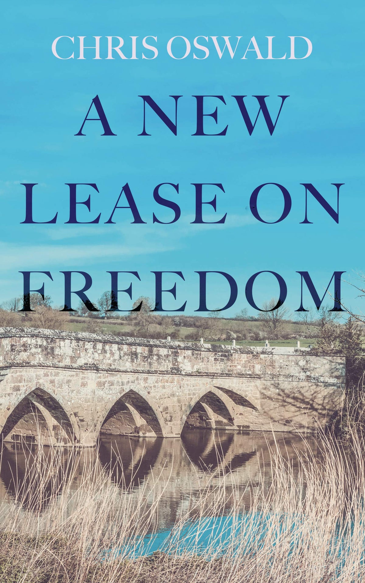 A New Lease on Freedom by Chris Oswald — The Dorset Chronicles Book One, paperback cover
